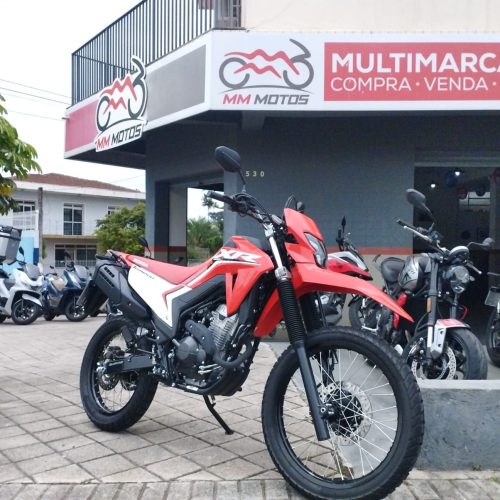 WhatsApp Image 2026-02-04 at 10.19.57 (2)